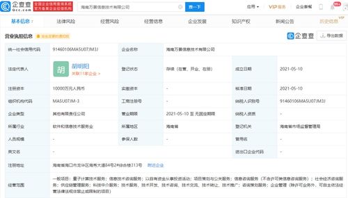 科技中介服务 连接创新与市场的桥梁