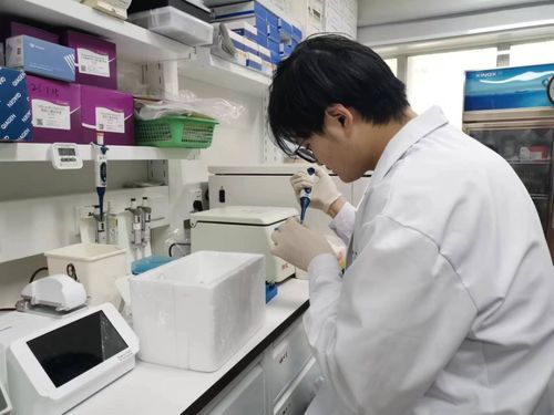 昌平区“两区”建设一季度实现“开门红” 以科技中介服务为引擎，跑出高质量发展“加速度”